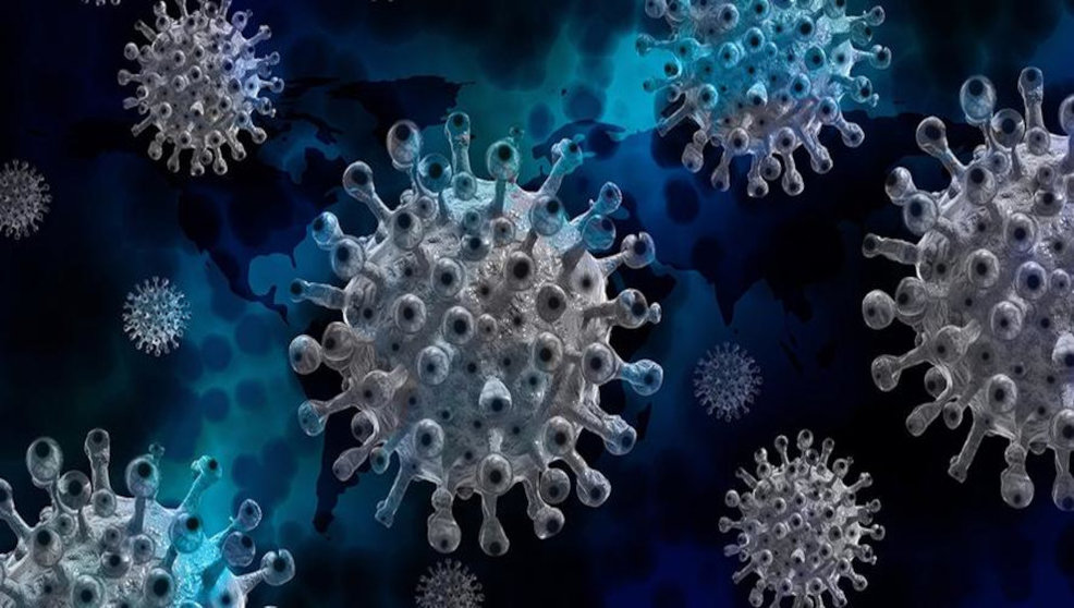 Imagen general de un virus del tipo corona / Foto: Universidad de Cambridge
