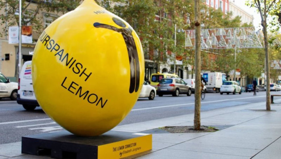 Limón de la exposición 'Lemon Art'